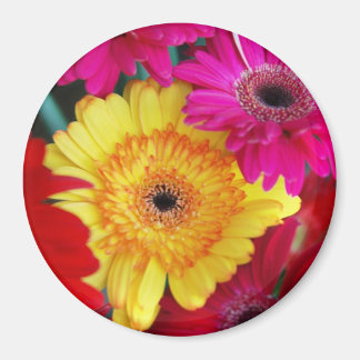 Imã Daisy Daisy ~ Magnet