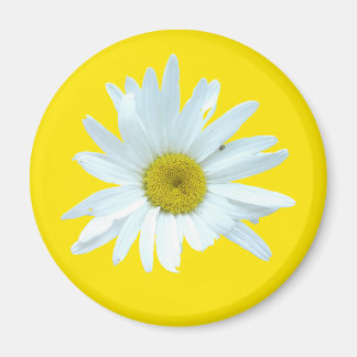 Imã Daisy Magnet