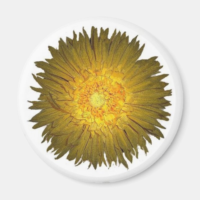 Imã Daisy Magnet (Frente)