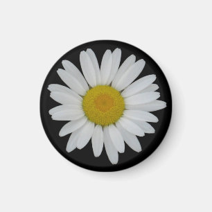 Imã Daisy On Black Magnet