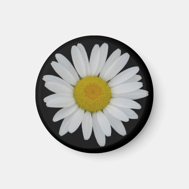 Imã Daisy On Black Magnet (Frente)