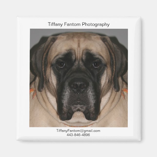 Imã Daisy Promo (Frente)