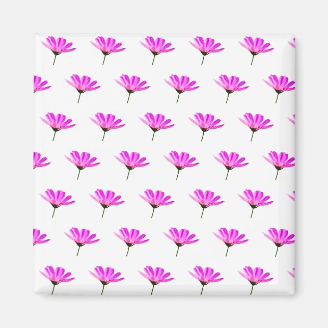 Imã Daisy Rosa (Frente)