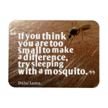 Dalai Lama Quote Magnet