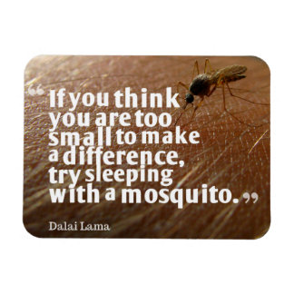 Ímã Dalai Lama Quote Magnet