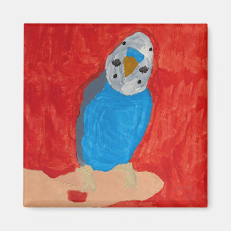 Imã Dallas, o Magnet Cerâmico do Orçamento