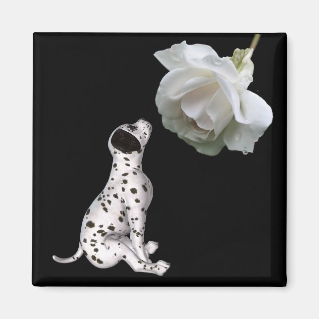 Imã Dalmaciana Puppy E White Rose Magnet (Frente)