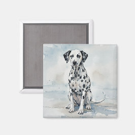 Imã Dalmata