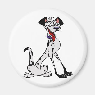 Imã Dalmatian