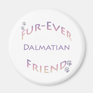 Imã Dalmatian Fuore