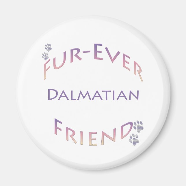 Imã Dalmatian Fuore (Frente)