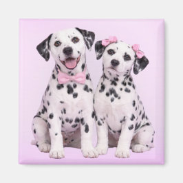 Imã Dalmatian Puppy Love – Valentine Dog Couple Magnet
