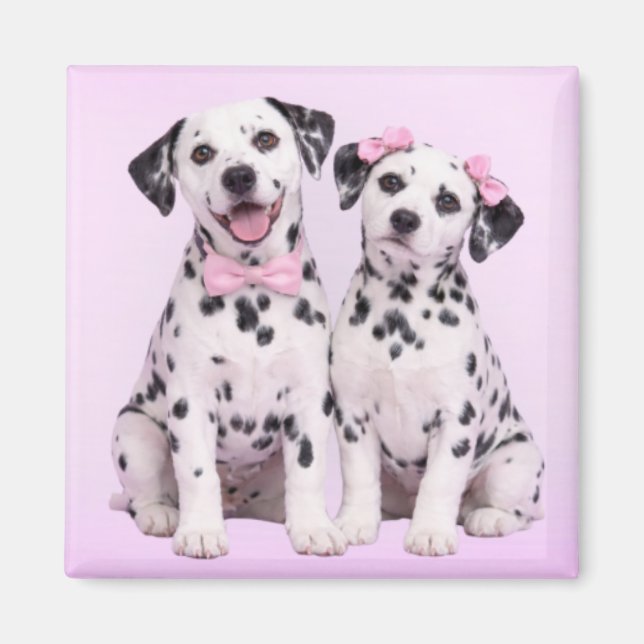 Imã Dalmatian Puppy Love – Valentine Dog Couple Magnet (Frente)