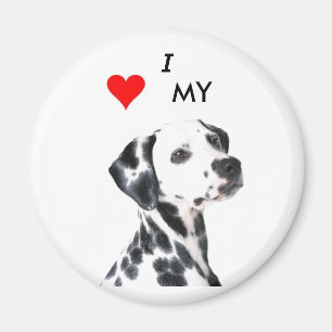 Imã dalmation1, VBRSMCA27ZNVGCAQG0F1BCAMZLQ8CCA0X9H…