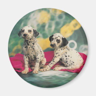 Imã Dalmation Puppies