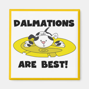 Imã Dalmations é os melhores t-shirt e presentes