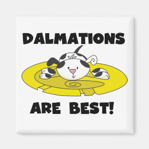Imã Dalmations é os melhores t-shirt e presentes
