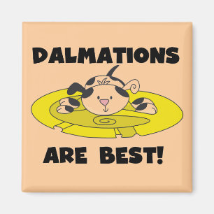 Imã Dalmations é os melhores t-shirt e presentes