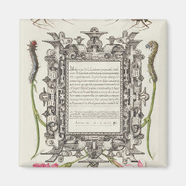 Imã Damas, lagartas, craveiros e poetas