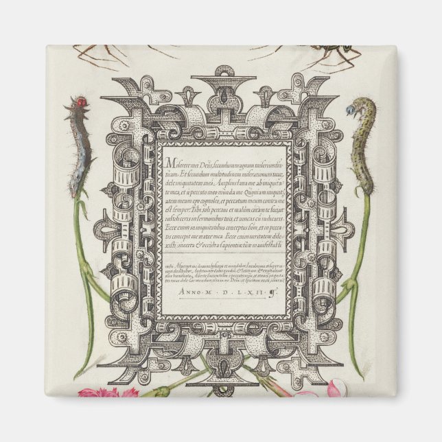 Imã Damas, lagartas, craveiros e poetas (Frente)