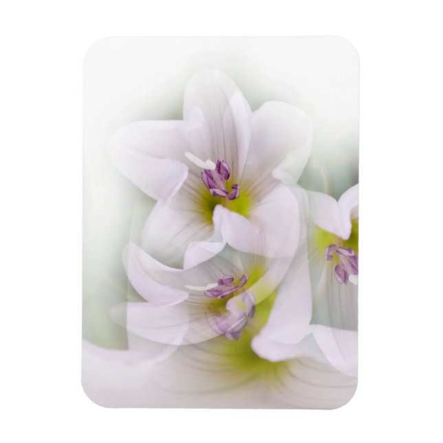 Ímã dança das flores (Vertical)