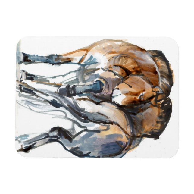 Ímã Dança de energia (Horizontal)