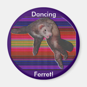 Imã Dançando o Ferret Magnet
