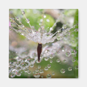 Imã Dandelion Abstrato Delicado