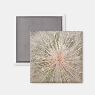 Imã Dandelion Close Magnet