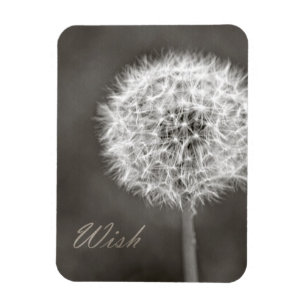 Ímã Dandelion de desejo inspirado