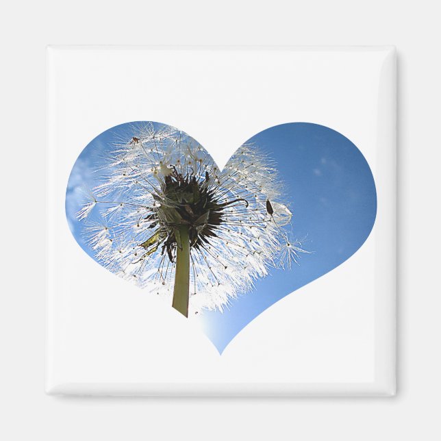 Imã Dandelion Heart Magnet (Frente)