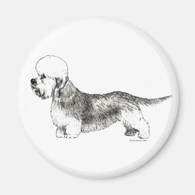 Imã Dandie Dinmont Terrier (Frente)