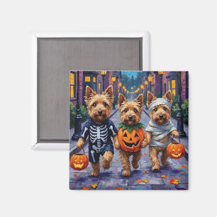 Imã Dandie Dinmont Terrier Pedindo Doces no Halloween