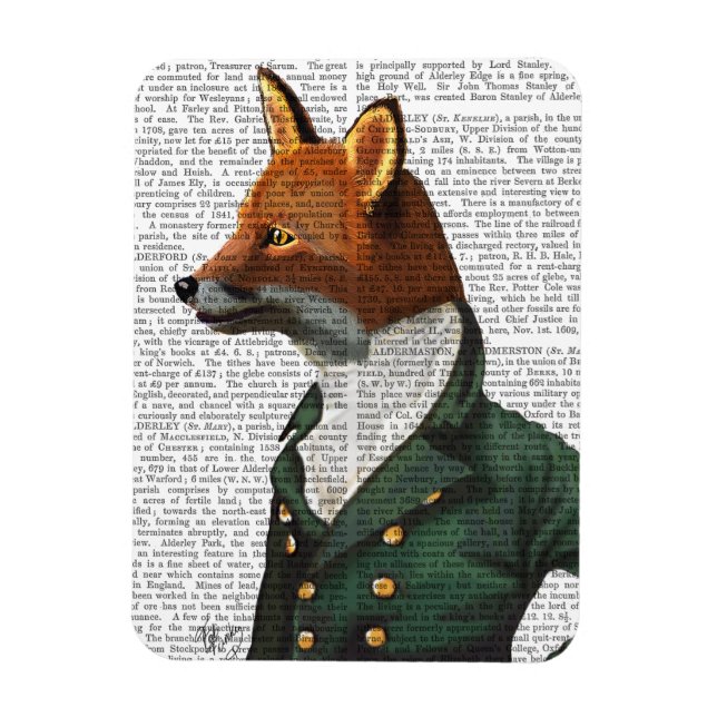Ímã Dandy Fox Portrait (Vertical)