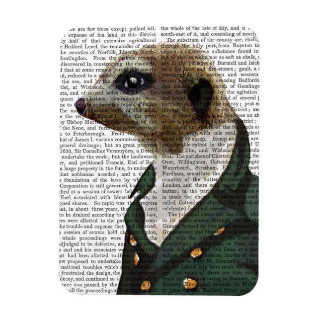 Ímã Dandy Meerkat Portrait (Vertical)