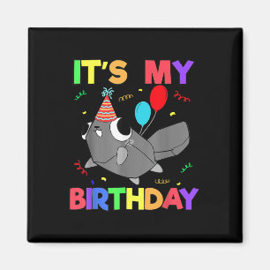 Imã Dandys World Pebble Birthday Decoração Para Crianç