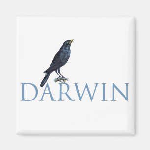 Imã Darwin