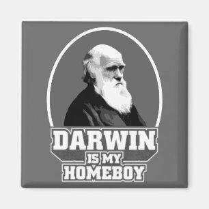 Imã Darwin É Meu Ficar em casa