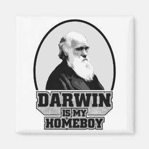 Imã Darwin É Meu Ficar em casa
