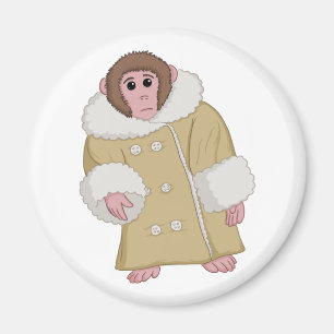 Imã Darwin que Ikea Monkey