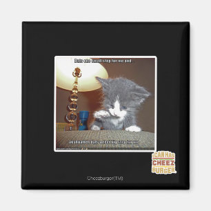 Imã Dats um pequeno passo me deixando de lado