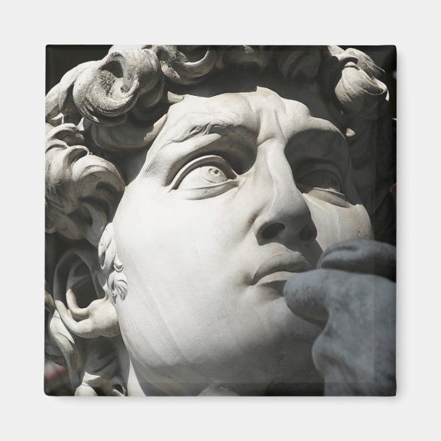 Imã David de Michelangelo (Frente)