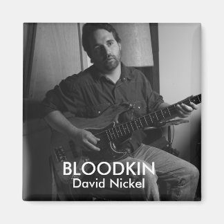 IMÃ DAVID NICKEL MAGNET