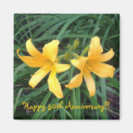 Imã DAYLILY "Downey" Dourado Duo.