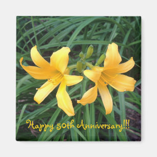 Imã DAYLILY "Downey" Dourado Duo.