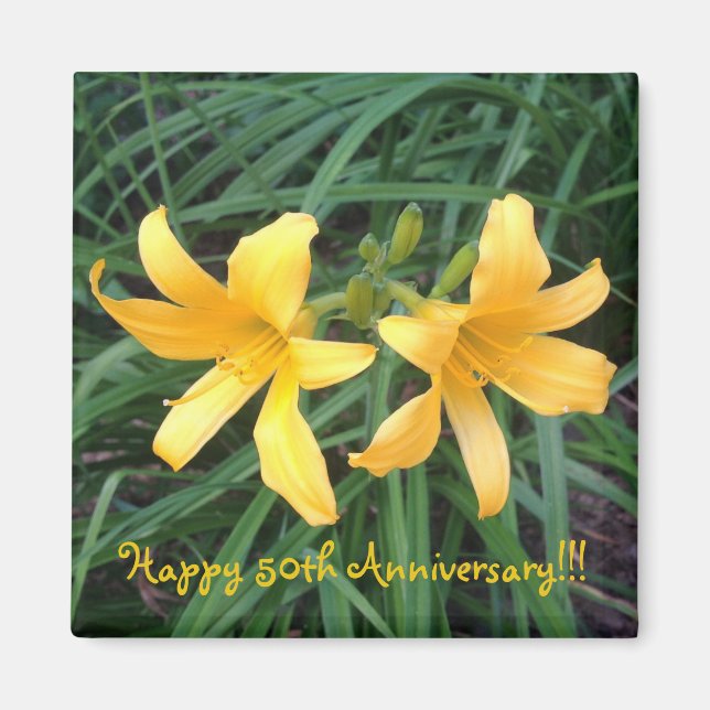 Imã DAYLILY "Downey" Dourado Duo. (Frente)