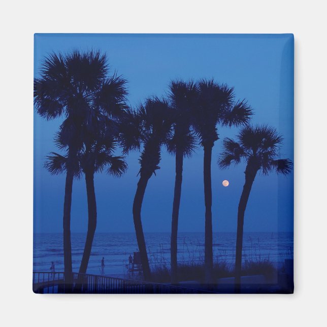Imã Daytona Beach FL Tropical Palm Tree Moon Magnets (Frente)