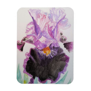 Ímã de arte de íris roxo Flores Florais Aquarela