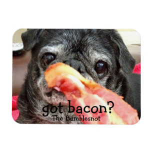 Ímã de Bumblesnot: bacon obtido?