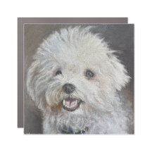 Ímã de Cachorro Branco Fofinho